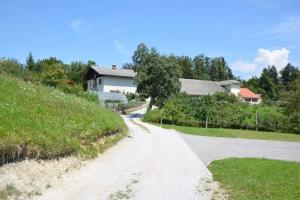 Bergant - Teraž (7)